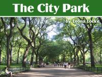 The_City_Park